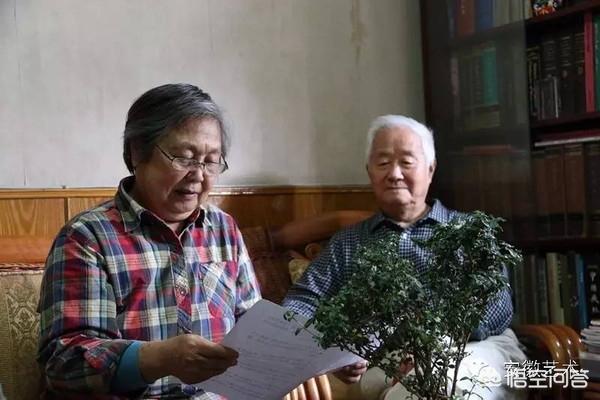 黄梅戏电影《天仙配》中的七仙女还有几位健在<strong>石旻玥</strong>？