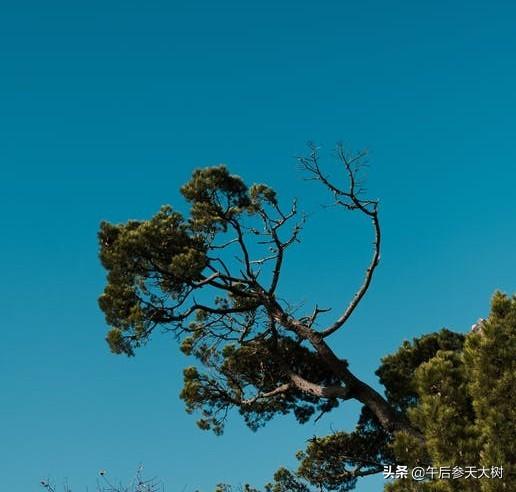 姚师兵怎么见到的郭威<strong>赵占虎</strong>？