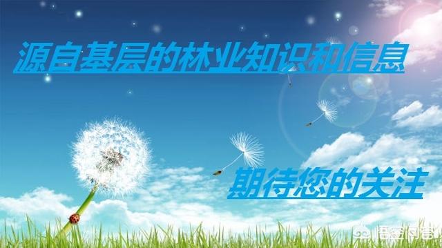 在农村建一个围猎场大概需要多少预算<strong>东方国际狩猎场</strong>？