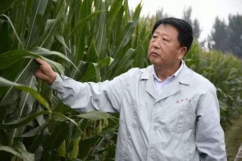 烟台历史上有哪些名人<strong>王永勤</strong>？