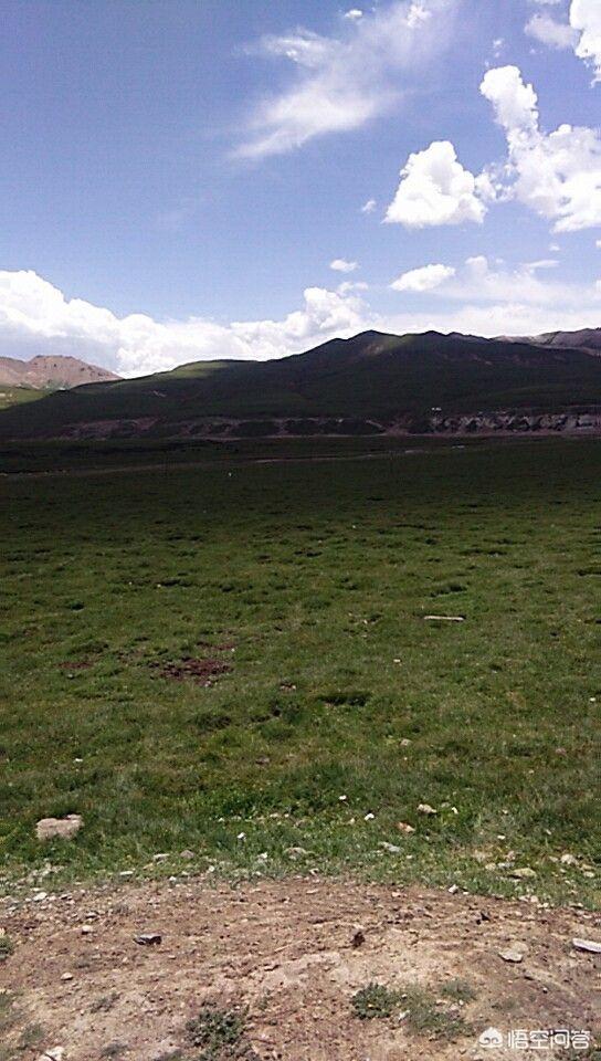 从卓尔山到西宁自驾<strong>青海省湟源公路总段</strong>，走227国道风景好还是走204省道风景好，有什么好的建议吗？