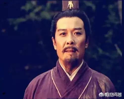 如何评价三国中的刘禅<strong>大智会</strong>，为什么很多人都说他有大智慧？