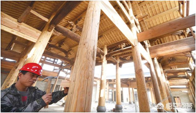 农村的杉木一根13万元<strong>王常姑</strong>，您觉得靠谱吗？