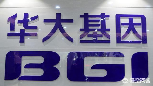 2003年非典成就了京东<strong>武汉华大基因</strong>，2020年肺炎会成就谁？