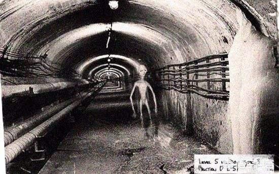 1979年美国人和外星人发生激烈交火的“道西事件”是真实的吗<strong>广道高新</strong>？