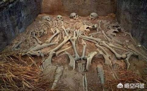 为朱元璋陪葬的女人的死法惨不惨<strong>韩妃化妆品</strong>？