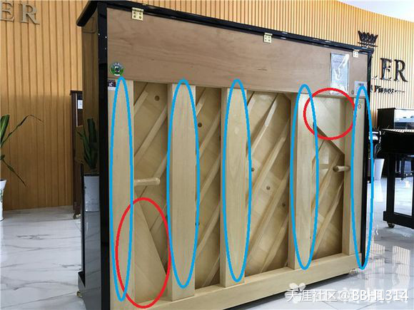 南京佳禾琴行介绍德国赛乐尔ED-126D