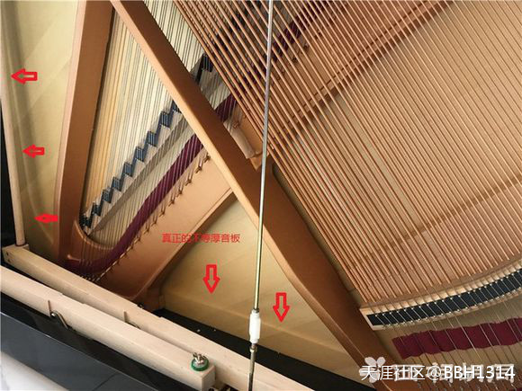 南京佳禾琴行介绍德国赛乐尔ED-126D