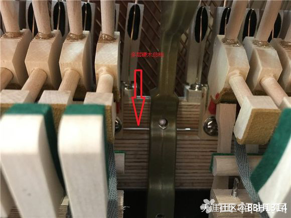 南京佳禾琴行介绍德国赛乐尔ED-126D