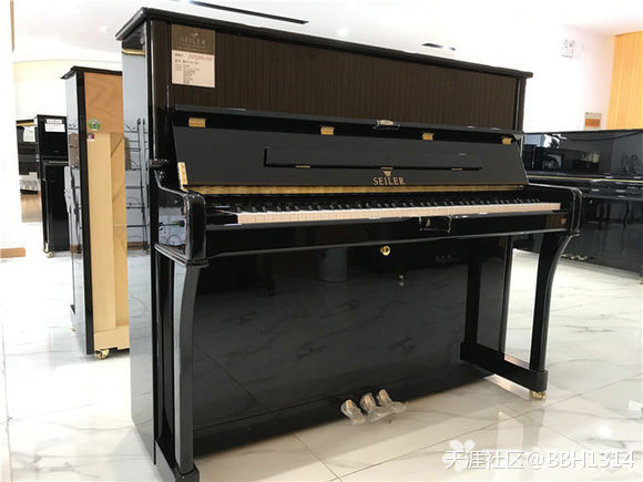 南京佳禾琴行介绍德国赛乐尔ED-126D