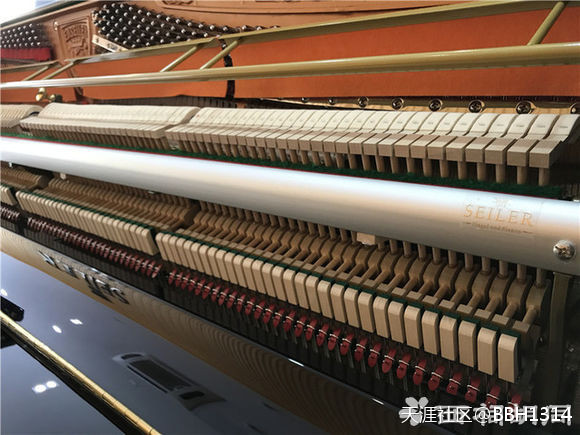 南京佳禾琴行介绍德国赛乐尔ED-126D