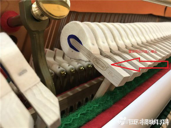 南京佳禾琴行介绍德国赛乐尔ED-126D