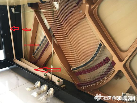 南京佳禾琴行介绍德国赛乐尔ED-126D