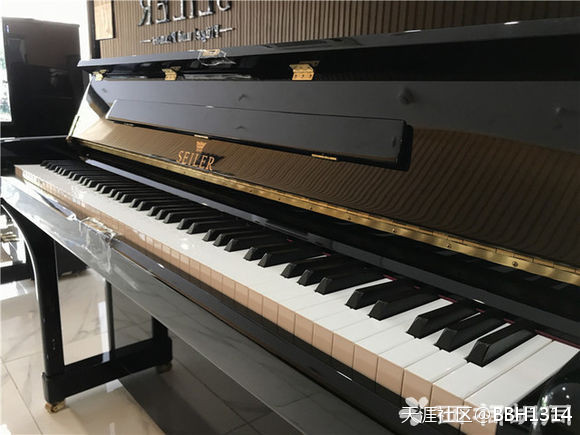 南京佳禾琴行介绍德国赛乐尔ED-126D