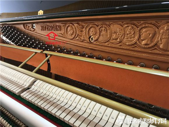 南京佳禾琴行介绍德国赛乐尔ED-126D