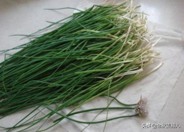 山葱适合在哪里种植<strong>六盘山热电厂</strong>？