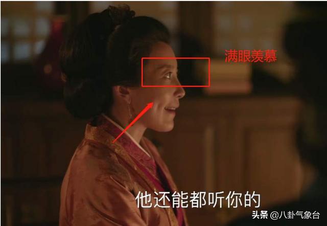 《知否》海朝云刚刚怀孕<strong>金英奇</strong>，康姨母为什么就想给长柏纳妾了？