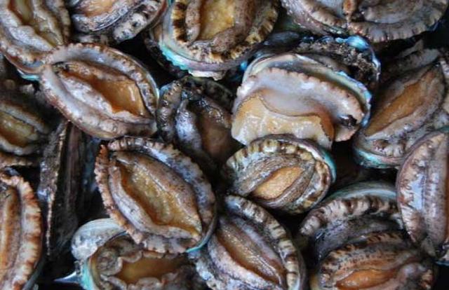 鲍鱼都有哪些品种<strong>吉品易购</strong>？