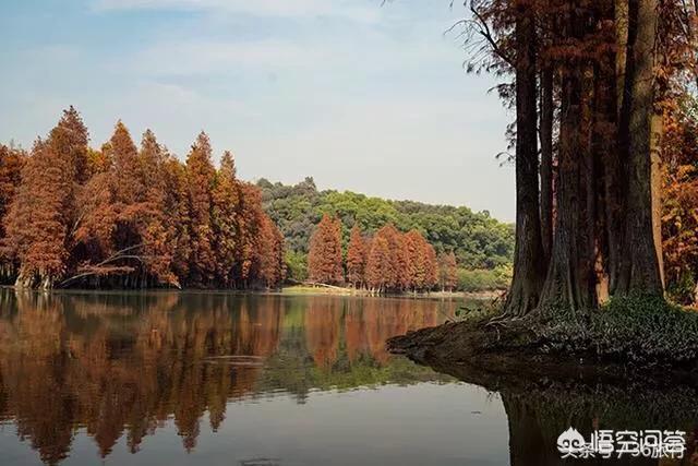 番禺哪个地方好玩呀？除了大夫山<strong>广州市番禺区环保局</strong>，还有什么地方可以推荐？