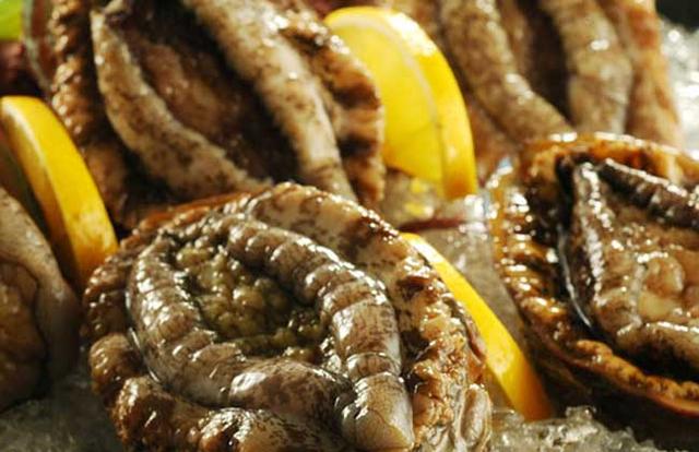 鲍鱼都有哪些品种<strong>吉品易购</strong>？