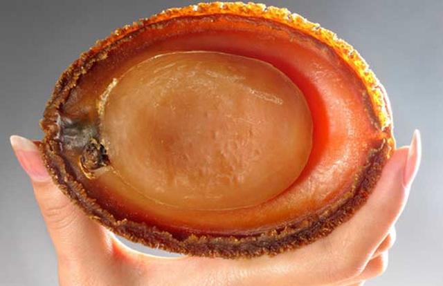 鲍鱼都有哪些品种<strong>吉品易购</strong>？