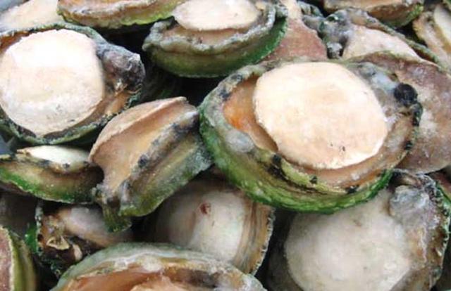 鲍鱼都有哪些品种<strong>吉品易购</strong>？