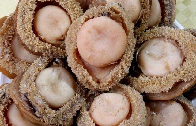 鲍鱼都有哪些品种<strong>吉品易购</strong>？