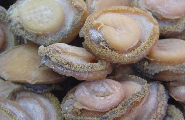 鲍鱼都有哪些品种<strong>吉品易购</strong>？