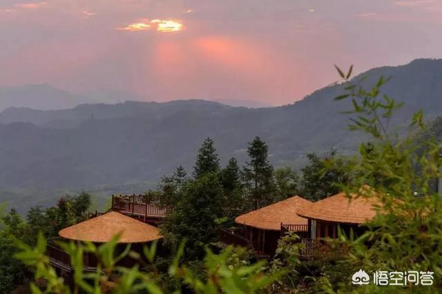 哪里的民宿做的比较成功<strong></p>
<p>浙江小熊</strong>？