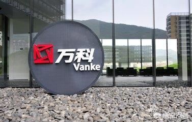 除了贵州茅台<strong></p>
<p>有研稀土</strong>，还有哪些也是细分行业的龙头？