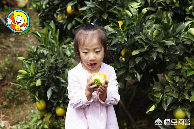 赣南脐橙什么时候采摘<strong></p>
<p>赣南果业</strong>？