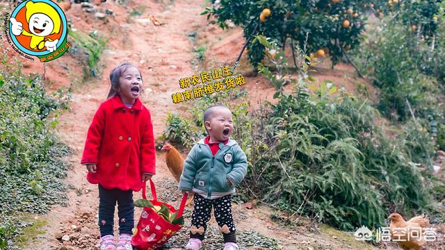 赣南脐橙什么时候采摘<strong></p>
<p>赣南果业</strong>？