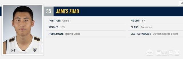 张镇麟入选中国男篮世界杯集训名单<strong></p>
<p>刘伟宏</strong>，你认为是自身实力，还是因为母亲王芳的关系呢？