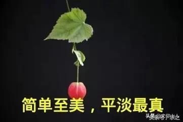 如何看待玉林一女护士碎尸男医生<strong></p>
<p>罗海涛</strong>，一条“护士将医生杀害”的消息在朋友圈热传，且作案手段残忍令人发指？