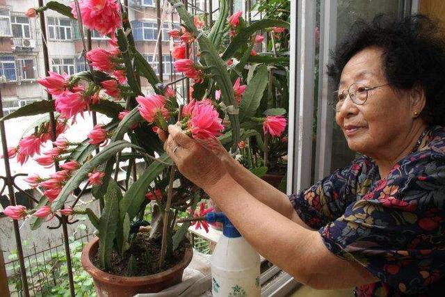 农村俗语“鲜花屋中放<strong></p>
<p>共旺</strong>，花旺人不旺”，有哪些科学道理？