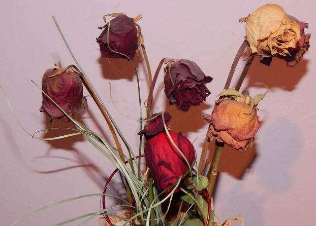 农村俗语“鲜花屋中放<strong></p>
<p>共旺</strong>，花旺人不旺”，有哪些科学道理？