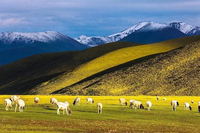 为什么北方各省的人口都往南方跑<strong></p>
<p>连云港振兴集团石化设备制造有限公司</strong>？怎样才能留住北方的人口？