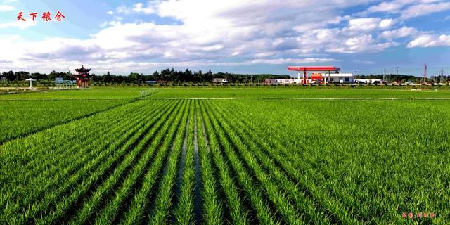 为什么北方各省的人口都往南方跑<strong></p>
<p>连云港振兴集团石化设备制造有限公司</strong>？怎样才能留住北方的人口？