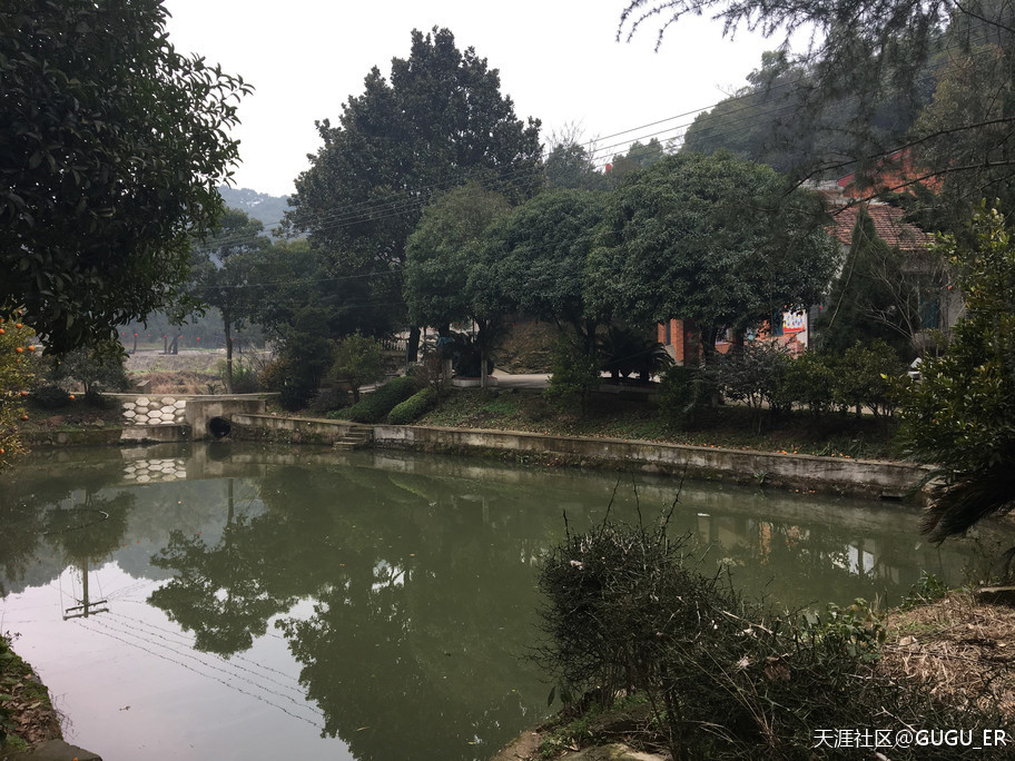 2019岳阳凤形山云溪杨一鹏故里祭古-----谷新光