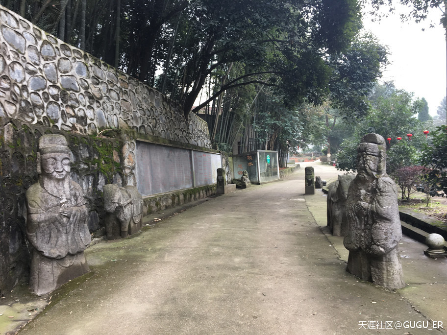 2019岳阳凤形山云溪杨一鹏故里祭古-----谷新光