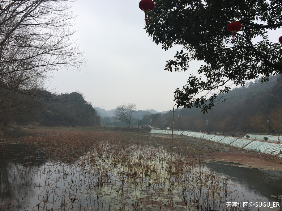2019岳阳凤形山云溪杨一鹏故里祭古-----谷新光