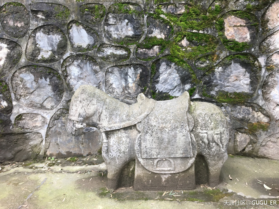 2019岳阳凤形山云溪杨一鹏故里祭古-----谷新光