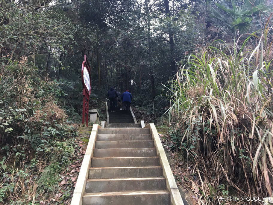 2019岳阳凤形山云溪杨一鹏故里祭古-----谷新光