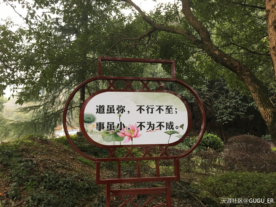 2019岳阳凤形山云溪杨一鹏故里祭古-----谷新光