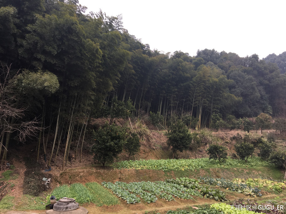 2019岳阳凤形山云溪杨一鹏故里祭古-----谷新光
