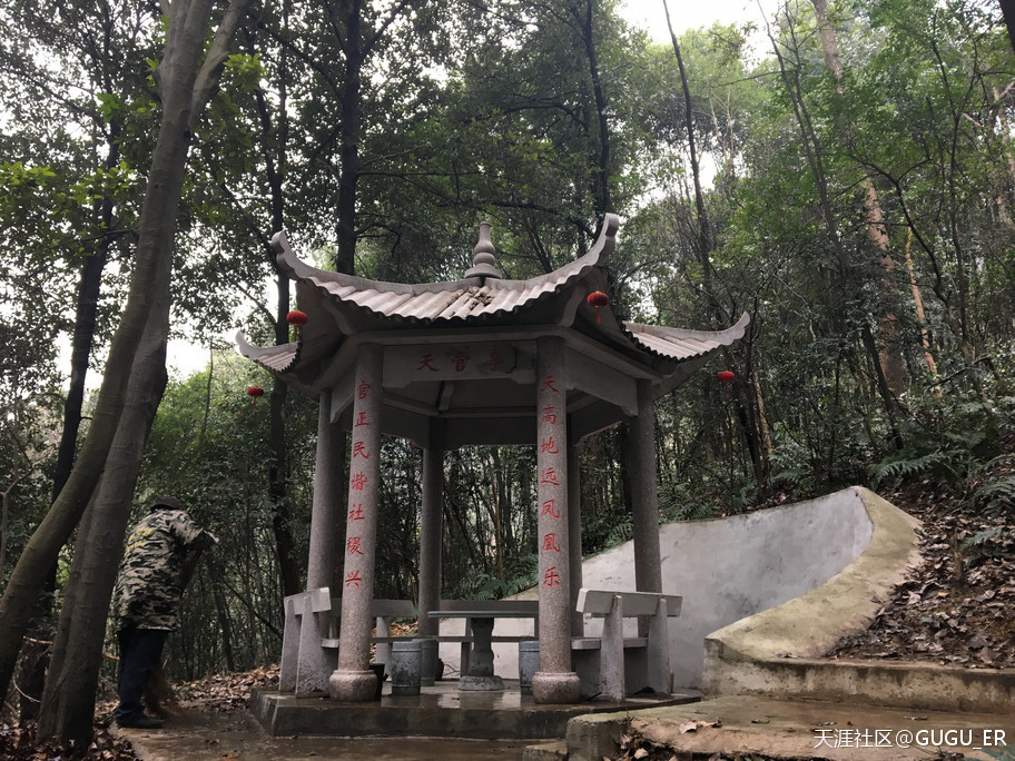 2019岳阳凤形山云溪杨一鹏故里祭古-----谷新光