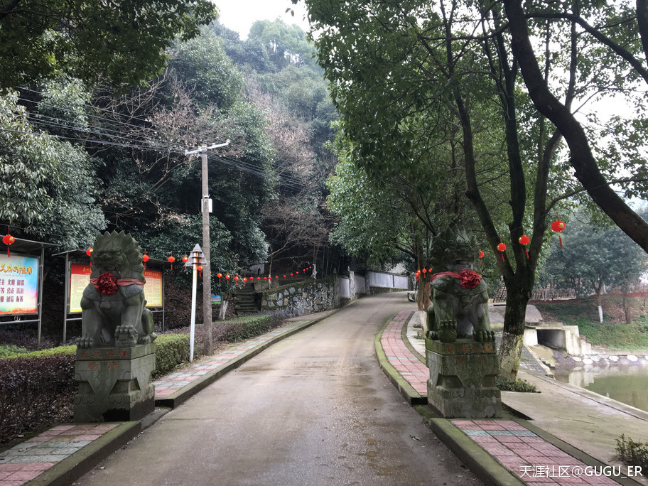 2019岳阳凤形山云溪杨一鹏故里祭古-----谷新光