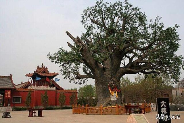 山西省洪洞县的大槐树是一个有名的寻根之地，有多少姓氏是从这里迁移出去的？