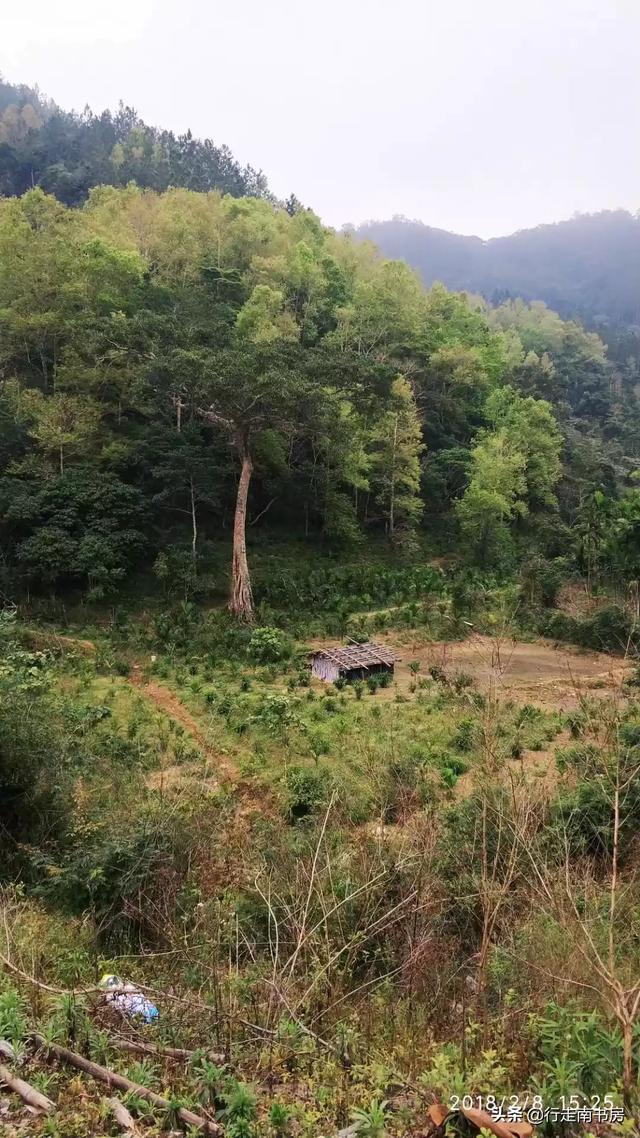 海南和北海相比<strong></p>
<p>银基集团</strong>，哪里更适合北方人长居？