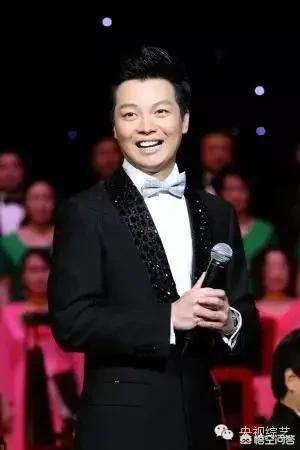 你认为中国最帅的10位男主持人都有谁<strong></p>
<p>甄纯</strong>？